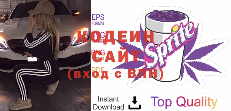 где можно купить наркотик  Волоколамск  Кодеин Purple Drank 