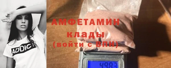 стаф Щигры