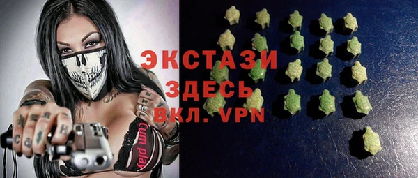 стаф Щигры