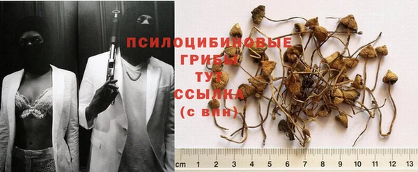 героин Осинники