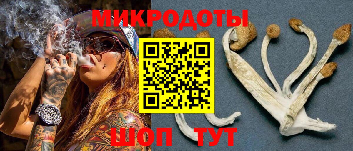 Волоколамск  Псилоцибиновые грибы Magic Shrooms  Вход с VPN  Псилоцибиновые грибы Psilocybe 