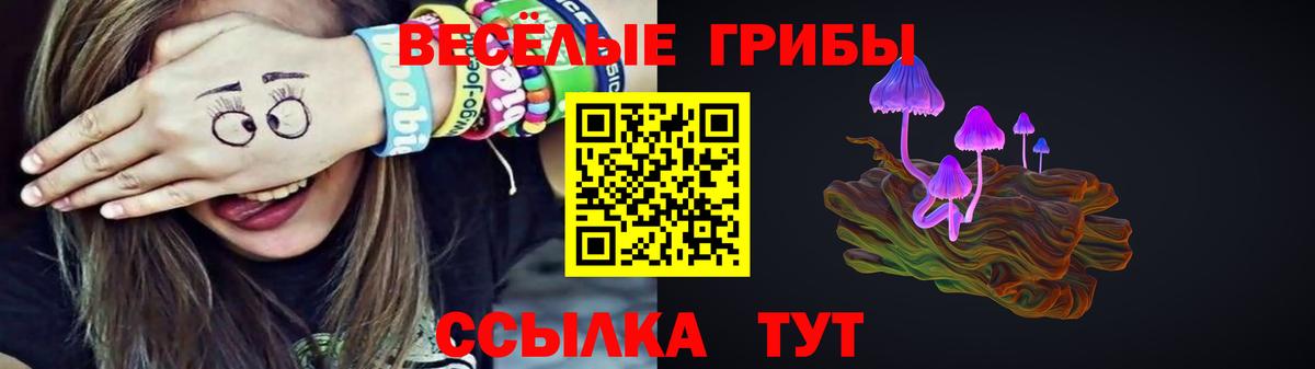 Галлюциногенные грибы Psilocybe  Волоколамск  Псилоцибиновые грибы Psilocybe 